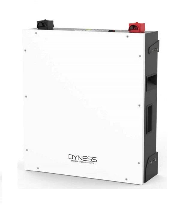 Dyness Lithium-Ion Battery 51.2V 100Ah – 5.12kWh Solar Battery