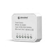 Smart In-Wall Two Gang WiFi Touch Switch